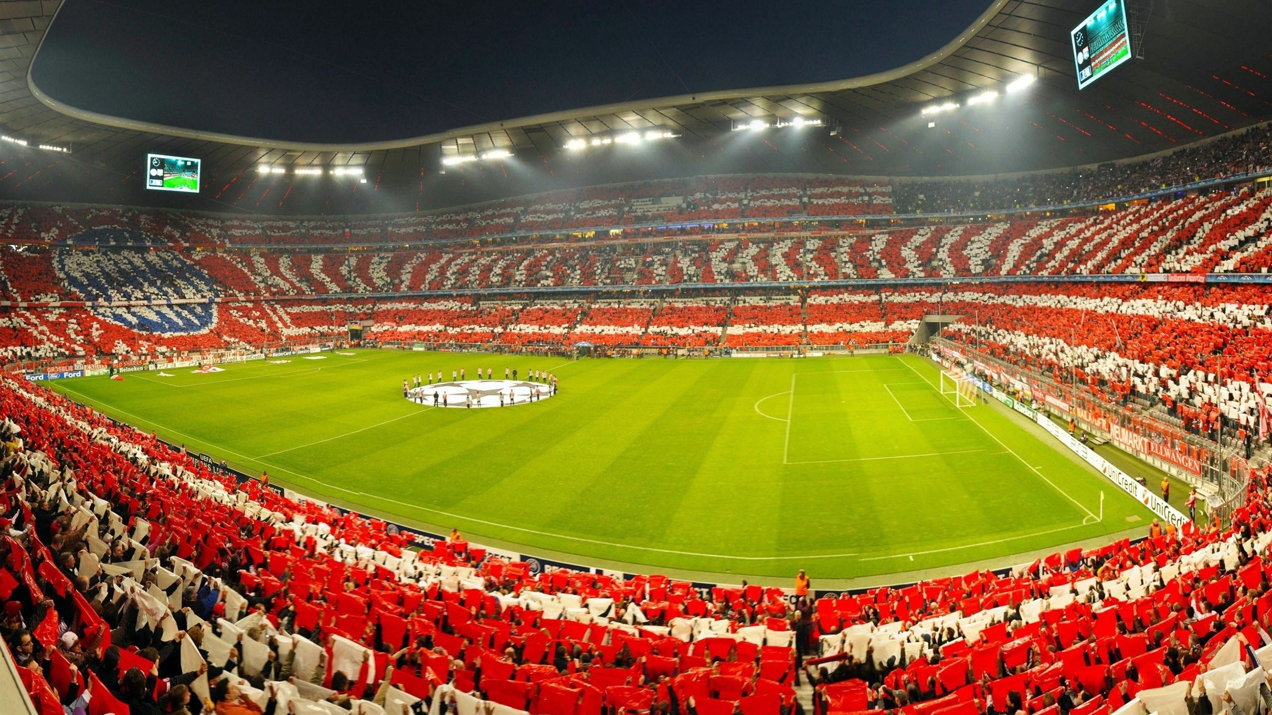 法国选手打破尘封15年游泳世界纪录，泳坛迎来新里程碑