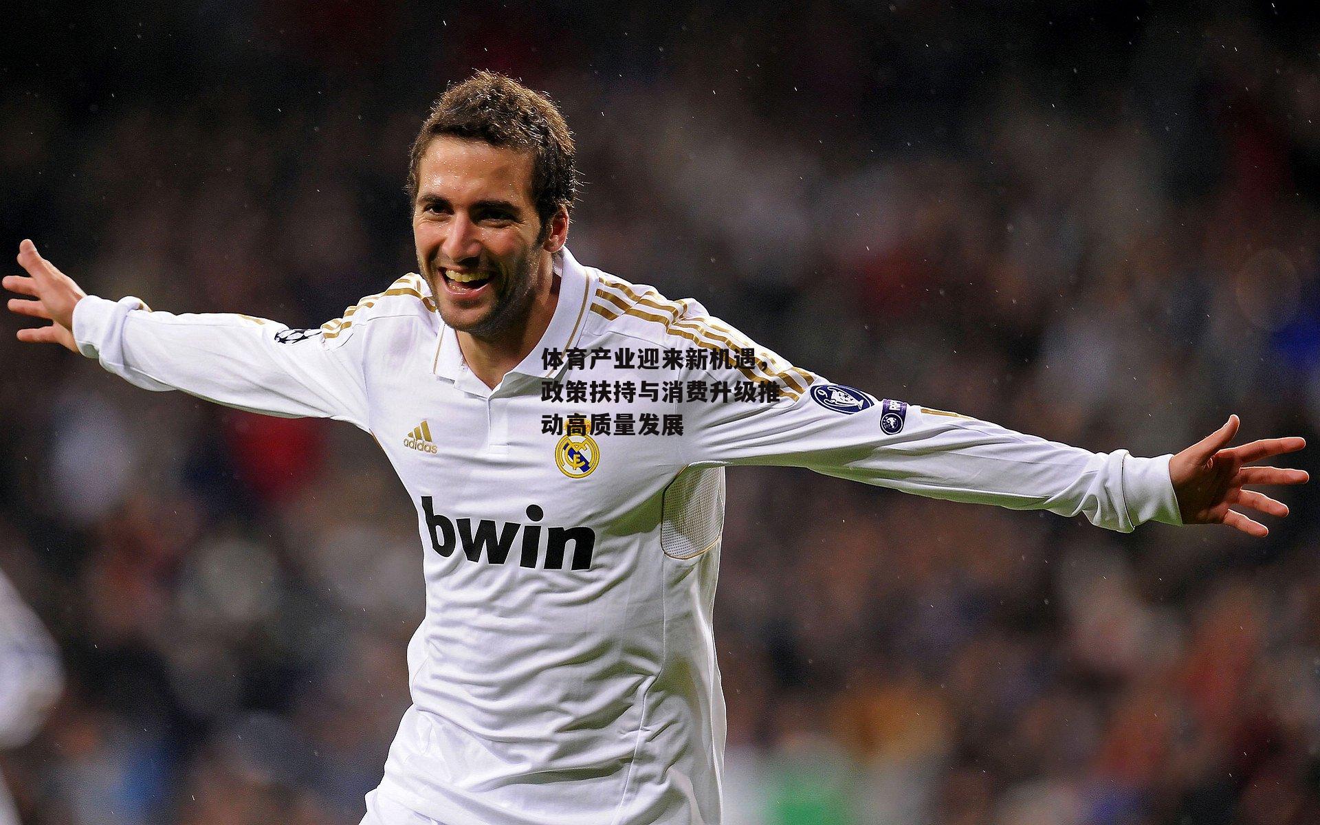 体育产业迎来新机遇，政策扶持与消费升级推动高质量发展